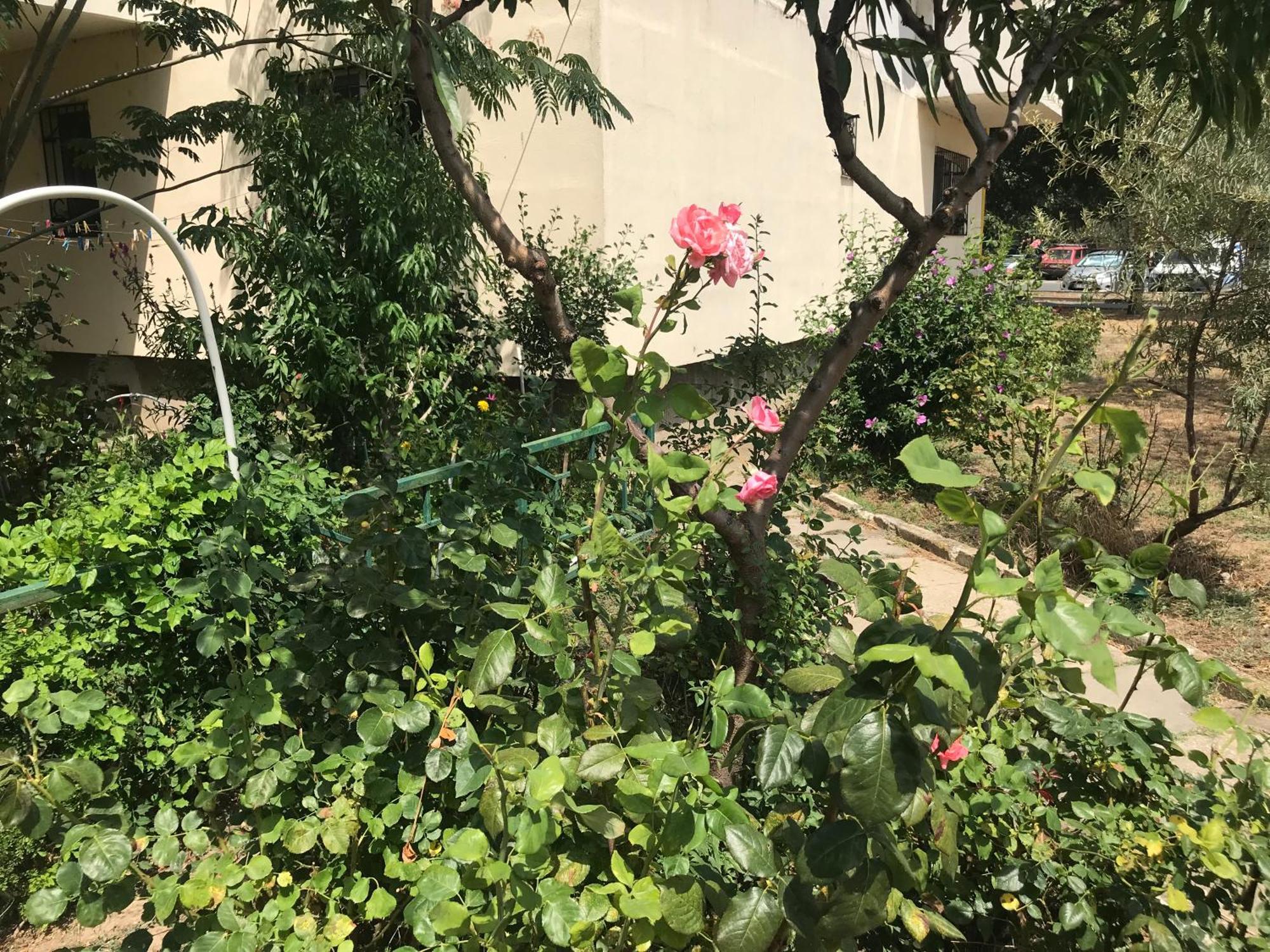 Apartament Langa Plaja Diana Mangalia Ngoại thất bức ảnh